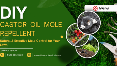 DIY Castor Oil Mole Repellent: Natural & Effective Mole Control for Your Law