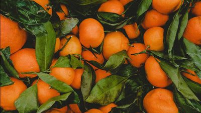 D-LIMONENE - THE SAFE PESTICIDE