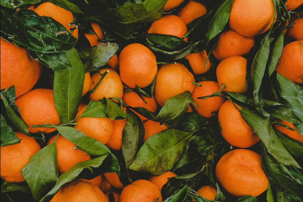 D-LIMONENE - THE SAFE PESTICIDE — Alliance Chemical