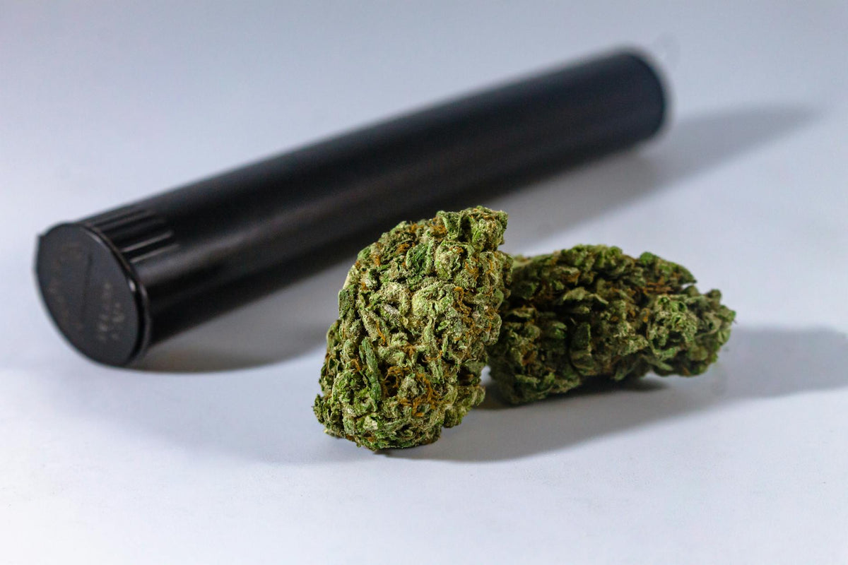 Close-up of marijuana buds with a black storage container, ideal for medical or recreational use.