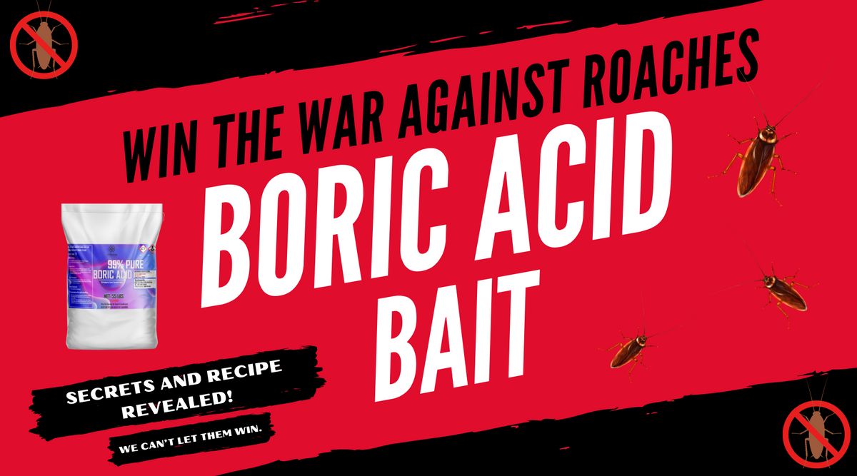 Boric Acid for Roaches: DIY Bait Recipes — Alliance Chemical