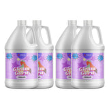 4-gallon case (4x1-gallon jugs) of Gleam Guru extra-strength ammonia cleaning solution in HDPE containers Alliance Chemical