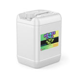 One 5-gallon HDPE jug of Alliance Chemical pH-Ree Fall with a white cap, integrated handle, and product label.